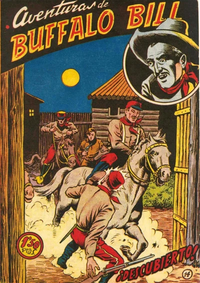 Cover of Issue #14