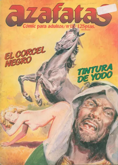 Cover of Issue #15