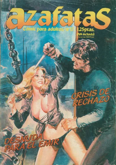 Cover of Issue #17