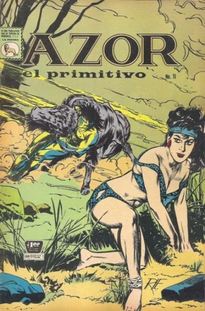 Cover of Issue #11