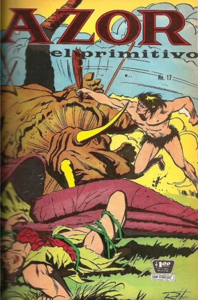Cover of Issue #17