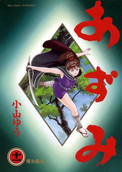 Cover of Vol. 11