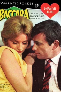 Le Parfait Alibi