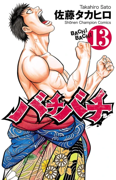 Cover of Vol. 13
