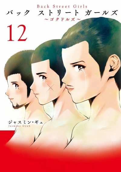 Cover of Vol. 12