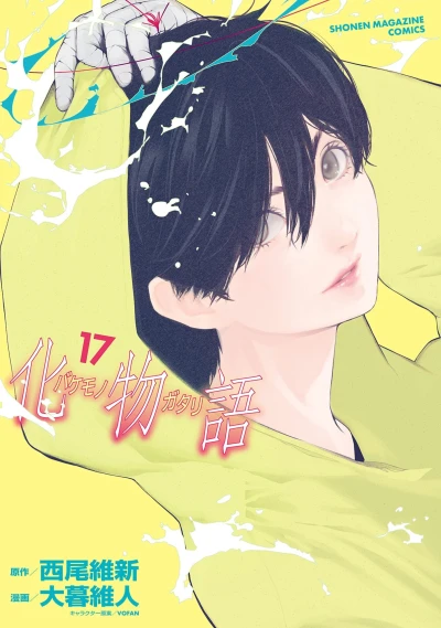 Cover of Vol. 17