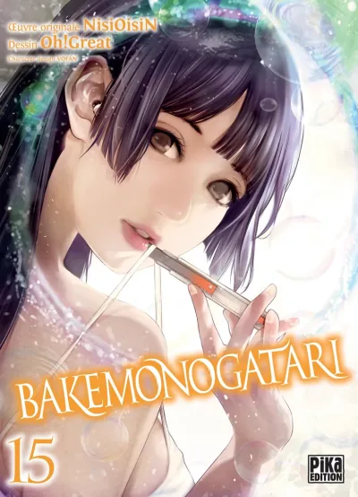 Cover of Tome 15