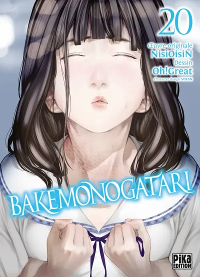 Cover of Tome 20