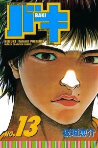 Vol. 13