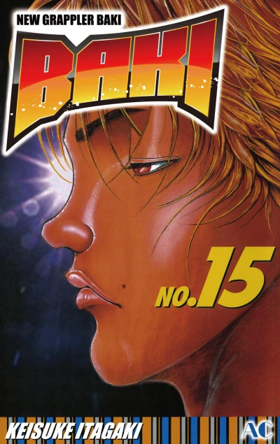 Cover of No.15