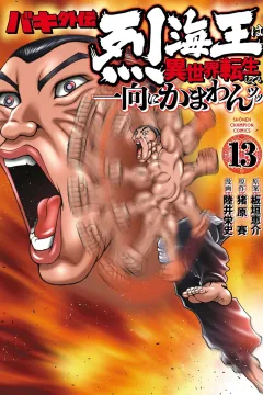 Volume 13