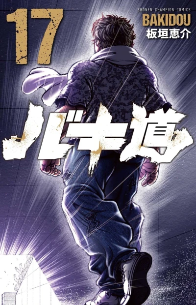 Cover of Vol. 17