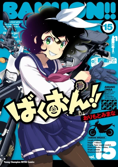Cover of Volume 15