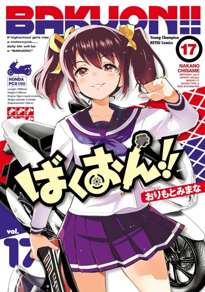 Cover of Volume 17