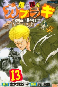 Vol. 13