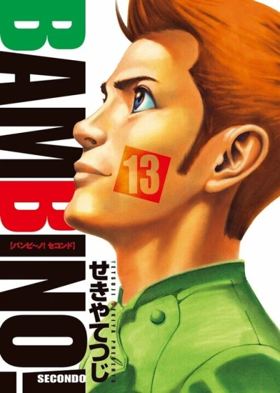 Cover of Vol. 13