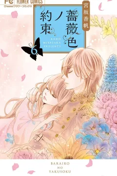 Volume 6