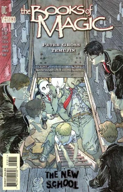 Cover of Bardsey Boys