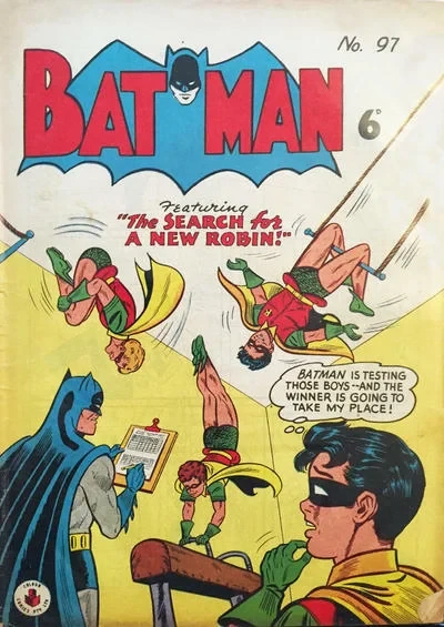Cover of The Search for a New Robin
