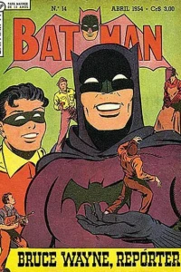Bruce Wayne, Reporter