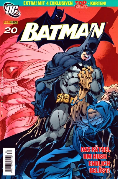 Cover of Was Kommen Wird