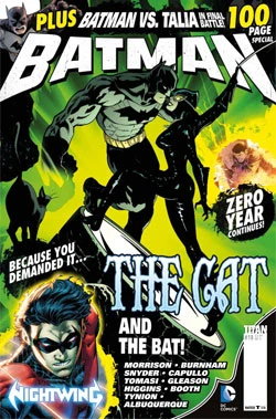 Cover of The Cat and the Bat