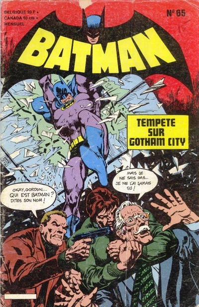 Cover of Tempete sur Gotham City