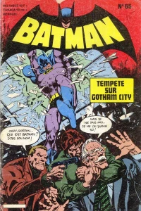 Tempete sur Gotham City