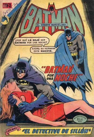 Cover of Batman por una Noche