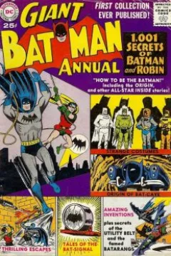 1,001 Secrets Of Batman And Robin