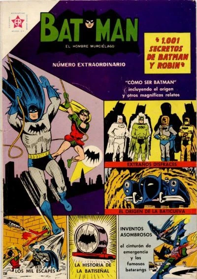 Cover of 1,001 Secretos de Batman y Robin