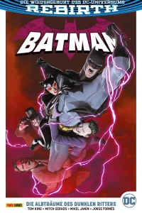 Die Albträume des Dunklen Ritters