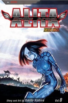 Cover of Fallen Angel