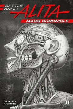 Volume 11