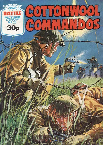 Cover of Issue #25
