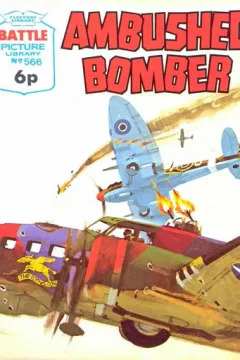 Ambushed Bomber