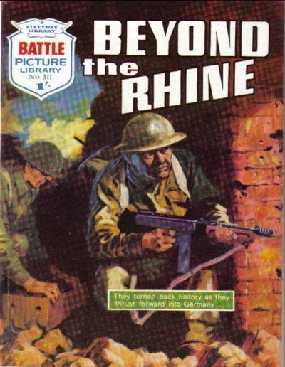 Cover of Beyond The Rhine