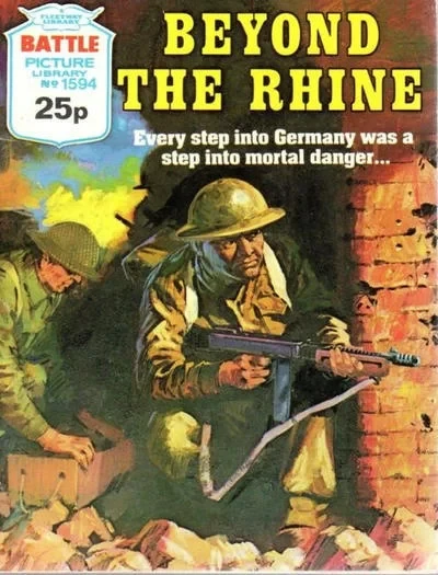 Cover of Beyond the Rhine