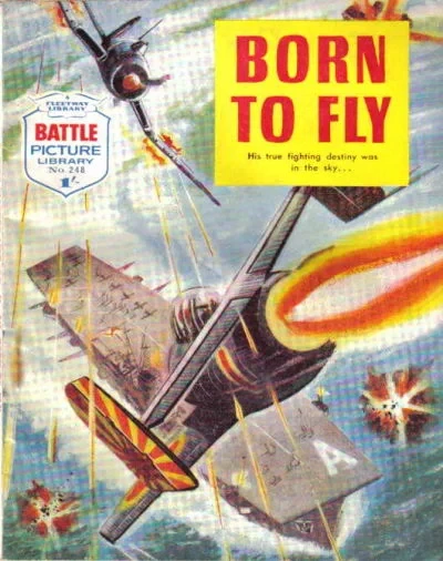 Cover of Born To Fly