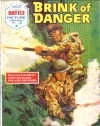 Cover of Brink Of Danger