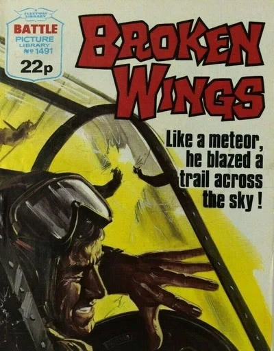 Cover of Broken Wings