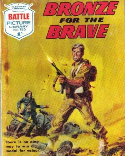 Cover of Bronze For The Brave