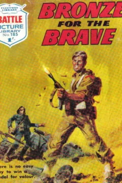 Bronze For The Brave