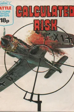 Calculated Risk