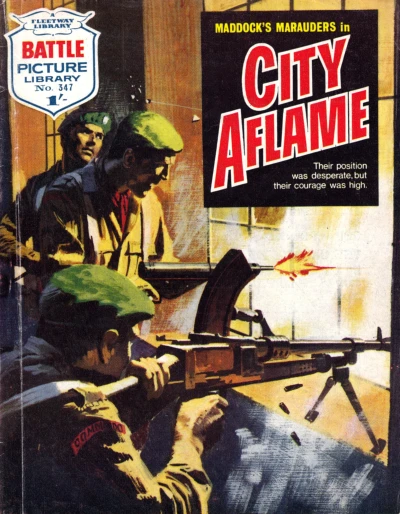Cover of City Aflame