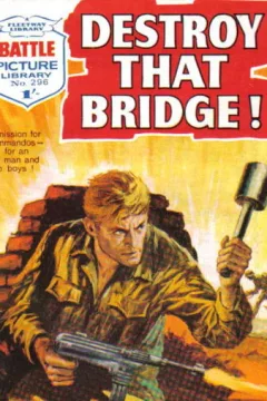 Destroy That Bridge!