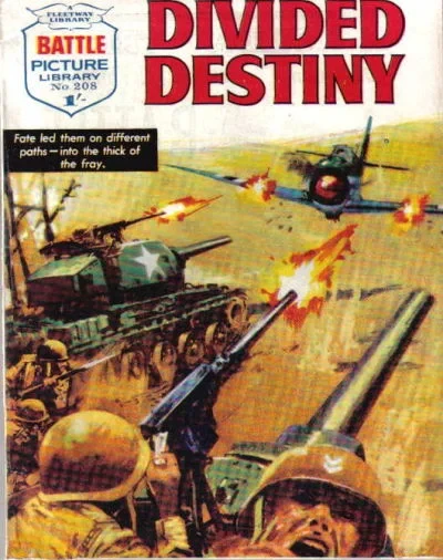 Cover of Divided Destiny