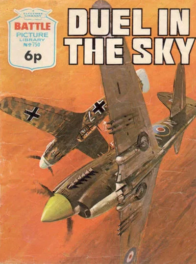 Cover of Duel in the Sky