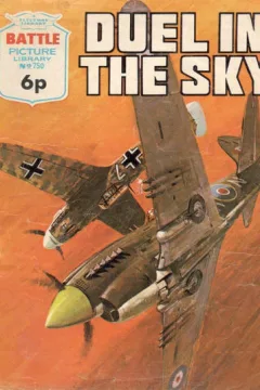 Duel in the Sky