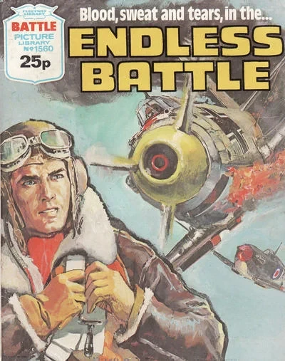 Cover of Endless Battle